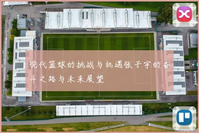 现代篮球的挑战与机遇张子宇的奋斗之路与未来展望