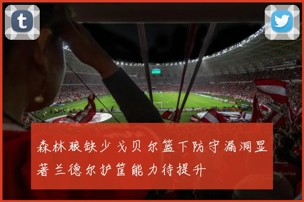 森林狼缺少戈贝尔篮下防守漏洞显著兰德尔护筐能力待提升